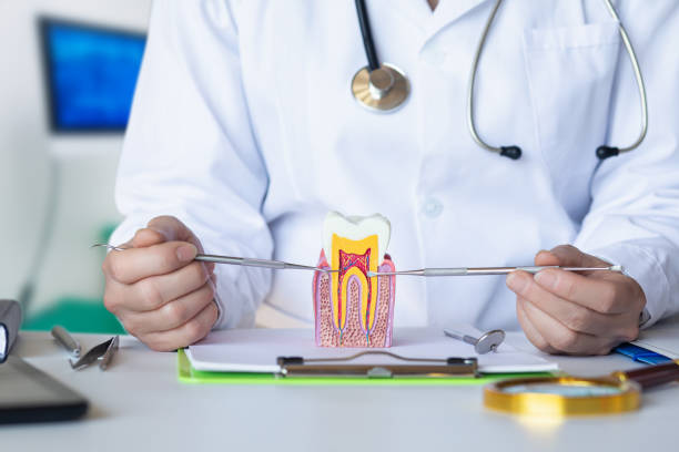 Best Pediatric Emergency Dentist in Brownsville, OR